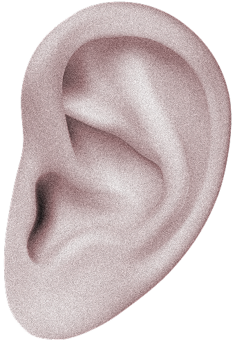 monochromic ear with grain effect